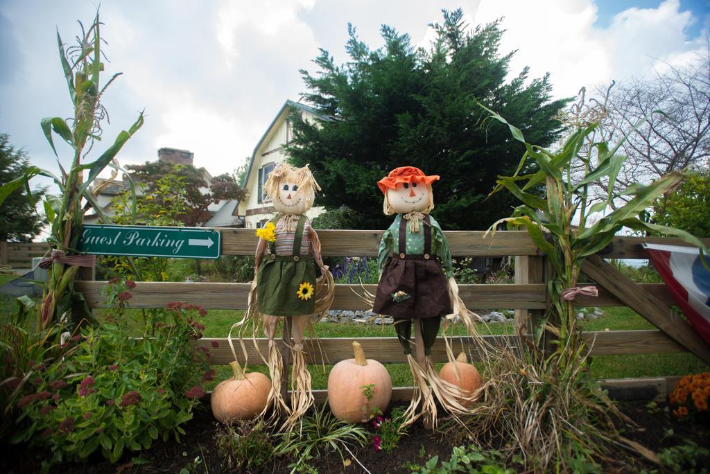Antietam Overlook Farm Rohrersville Экстерьер фото